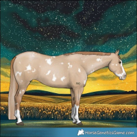 Horse Color:White Spotted Grullo Pearl Splash 
