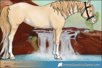 Horse Color:Smoky Black Pearl Splash 