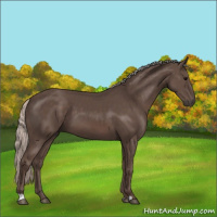 Horse Color:Silver Black 