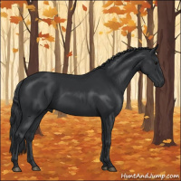 Horse Color:Black 