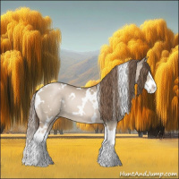 Horse Color:White Spotted Grullo Pearl Splash 