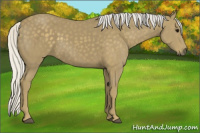 Horse Color:Silver Smoky Black 