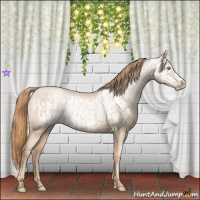 Horse Color:Gold Champagne Roan Pearl Rabicano  and Gold Champagne Roan Pearl Frame Rabicano 