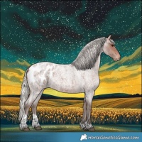 Horse Color:Silver Bay Roan Tobiano Blanket 
