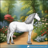Horse Color:Liver Chestnut Tobiano Appaloosa