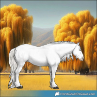 Horse Color:Silver Buckskin Tobiano Appaloosa