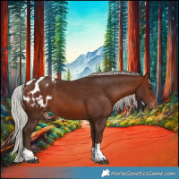 Horse Color:Silver Brown Tobiano Appaloosa 