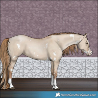 Horse Color:White Spotted Grullo Pearl Splash 