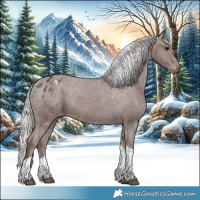 Horse Color:Silver Black Tobiano Appaloosa 