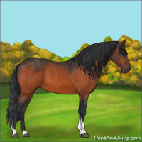 Horse Color:Bay Tobiano 