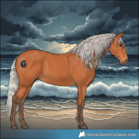 Horse Color:Silver Bay 