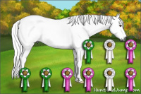Horse Color:Gray Buckskin Roan Dun 