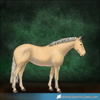 Horse Color:Palomino 
