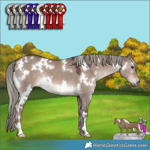Horse Color:White Spotted Liver Red Dun Mushroom 
