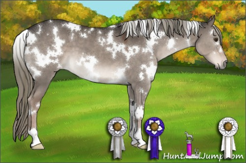 Horse Color:White Spotted Liver Red Dun Mushroom 