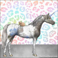 Horse Color:Silver Grullo Tobiano Rabicano 