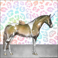Horse Color:White Spotted Silver Blue Onyx Tobiano Rabicano 