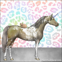 Horse Color:White Spotted Silver Grullo Tobiano Rabicano 