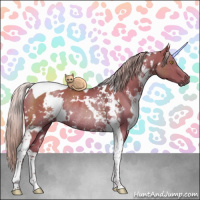 Horse Color:White Spotted Silver Grullo Tobiano Rabicano 