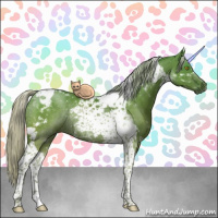 Horse Color:Silver Grullo Tobiano Rabicano 