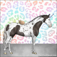 Horse Color:Silver Black Splash Tobiano Rabicano 