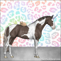 Horse Color:Silver Black Splash Tobiano Rabicano