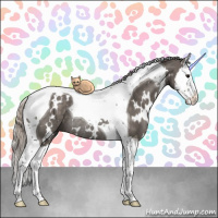 Horse Color:White Spotted Silver Black Splash Tobiano Rabicano 