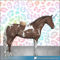 Horse Color:White Spotted Silver Black Tobiano Rabicano 