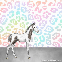 Horse Color:White Spotted Silver Black Splash Tobiano Rabicano