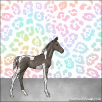 Horse Color:Silver Black Tobiano Rabicano 