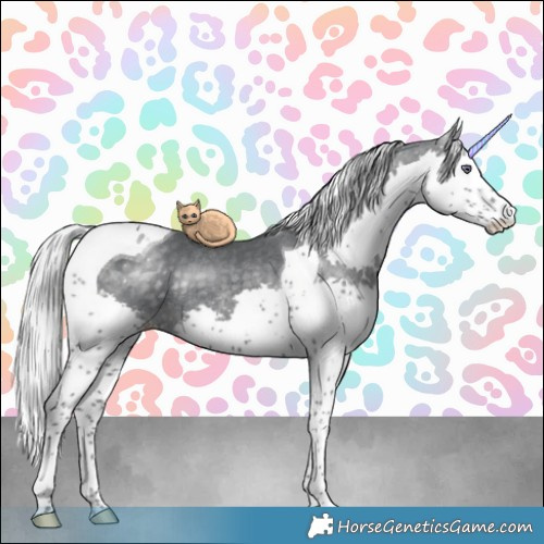 Horse Color:Silver Black Chinchilla Splash Tobiano Rabicano 