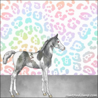 Horse Color:Silver Black Chinchilla Splash Tobiano Rabicano 