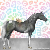 Horse Color:Silver Black Chinchilla Tobiano Rabicano