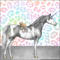 Horse Color:Silver Black Chinchilla Splash Tobiano Rabicano 