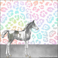 Horse Color:Silver Black Chinchilla Splash Tobiano Rabicano 
