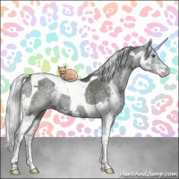 Horse Color:Silver Black Chinchilla Splash Tobiano Rabicano 