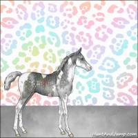 Horse Color:Silver Black Chinchilla Splash Tobiano Rabicano 