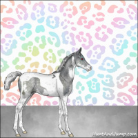 Horse Color:Silver Black Chinchilla Splash Tobiano Rabicano