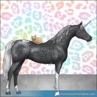 Horse Color:Silver Black Chinchilla Tobiano Rabicano 