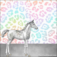 Horse Color:White Spotted Silver Grullo Chinchilla Ice Tobiano Rabicano 