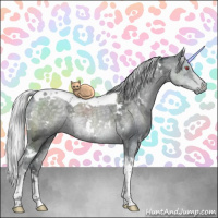 Horse Color:White Spotted Silver Black Chinchilla Ice Tobiano Rabicano 
