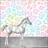Horse Color:White Spotted Silver Grullo Chinchilla Ice Tobiano Rabicano 