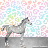 Horse Color:Silver Grullo Chinchilla Ice Sabino Tobiano Rabicano