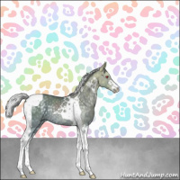 Horse Color:Silver Black Chinchilla Ice Sabino Tobiano Rabicano 