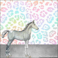 Horse Color:Silver Grullo Chinchilla Ice Sabino Tobiano Rabicano