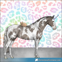 Horse Color:White Spotted Silver Black Splash Tobiano Rabicano