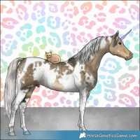 Horse Color:White Spotted Silver Smoky Grullo Tobiano Rabicano 