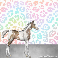Horse Color:White Spotted Silver Brown Dun Splash Tobiano Rabicano 