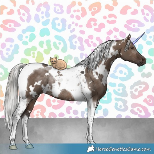 Horse Color:White Spotted Silver Brown Dun Tobiano Rabicano 