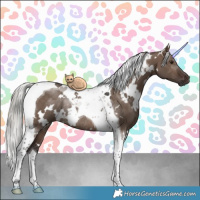Horse Color:White Spotted Silver Brown Dun Tobiano Rabicano 